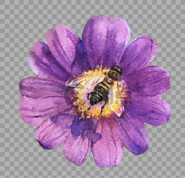 花朵上的蜜蜂图片素材免费下载