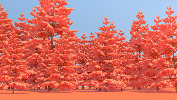 珊瑚橙树林图片素材免费下载
