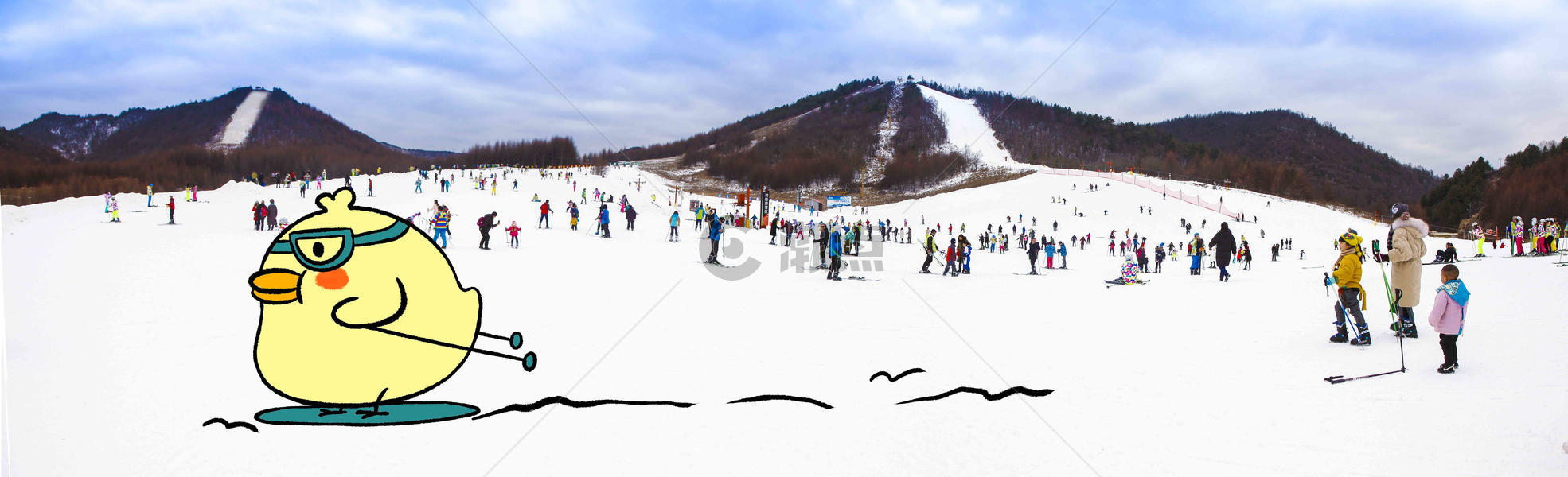 创意滑雪鸡图片素材免费下载