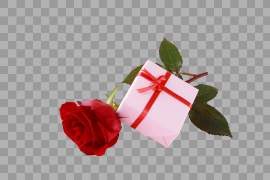 玫瑰和礼物盒图片素材免费下载