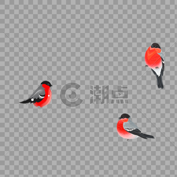 红色的小鸟图片素材免费下载