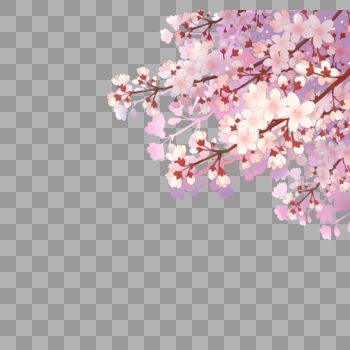樱花树枝图片素材免费下载