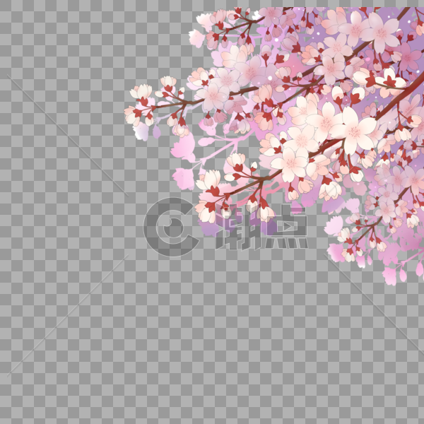 樱花树枝图片素材免费下载