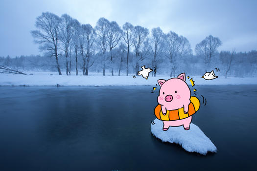 创意冬泳小猪图片素材免费下载