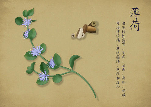手绘中国风中药图片素材免费下载