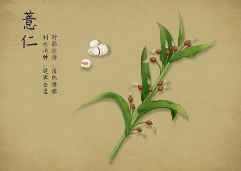 手绘中国风插画图片素材免费下载