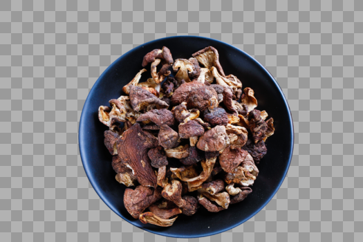 野生松树蘑菇图片素材免费下载