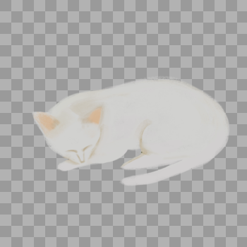 睡觉的猫图片素材免费下载
