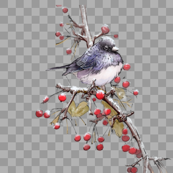 树枝上的鸟图片素材免费下载