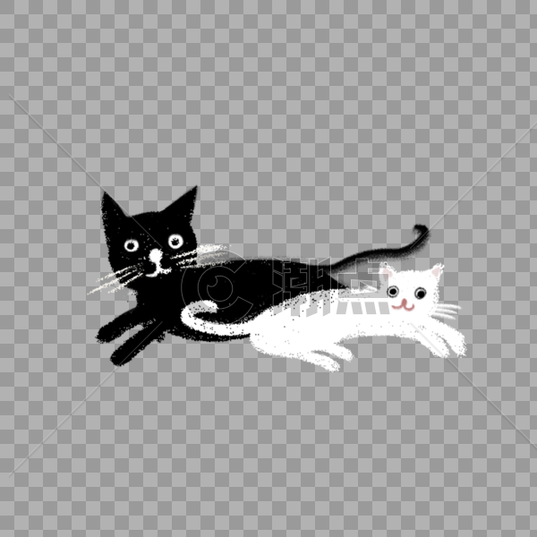 黑猫和白猫图片素材免费下载