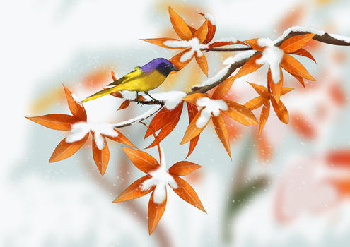 手绘冬季落雪小鸟树图片素材免费下载