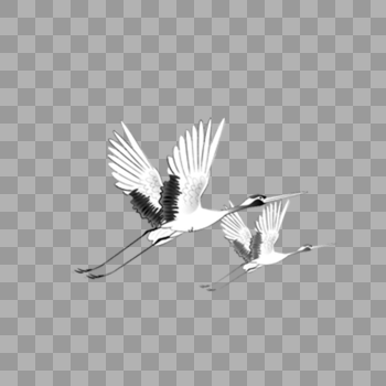 飞翔的鹤图片素材免费下载