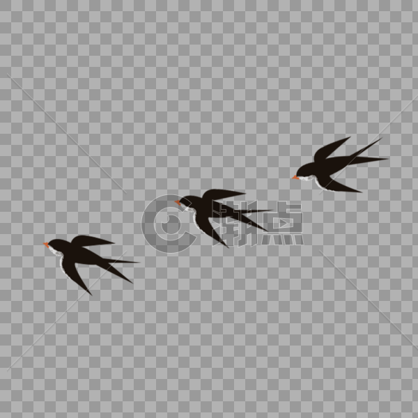 三只燕子图片素材免费下载