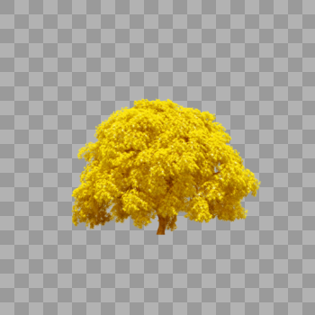 黄色的树图片素材免费下载