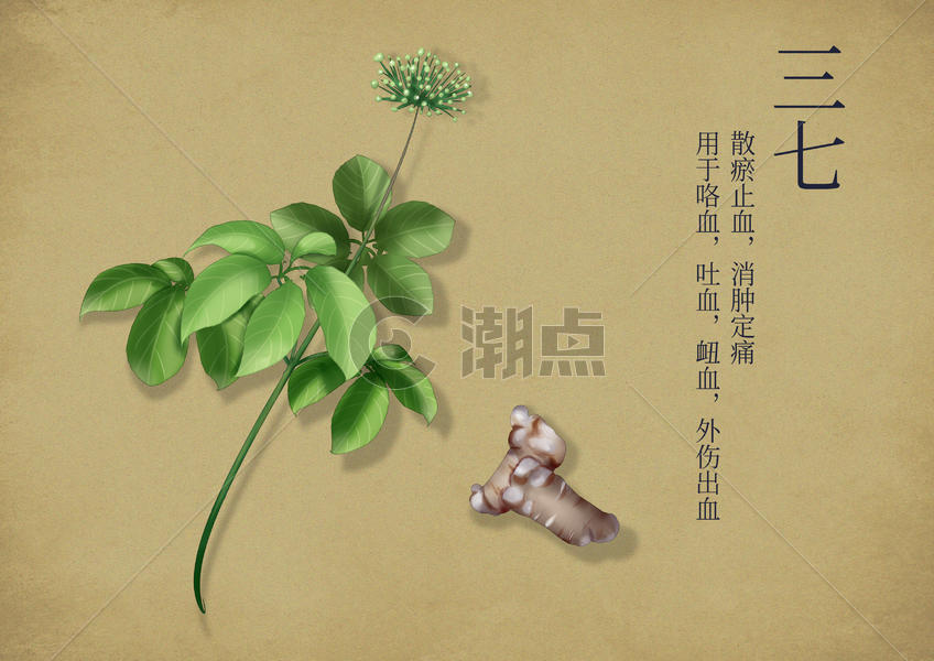 中国风手绘养生中药图片素材免费下载