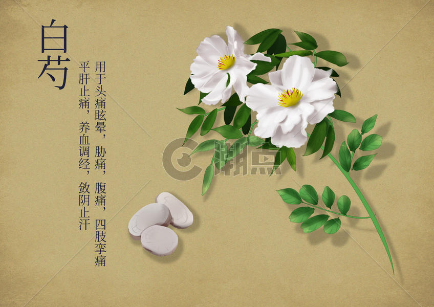 中国风手绘中药养生图片素材免费下载