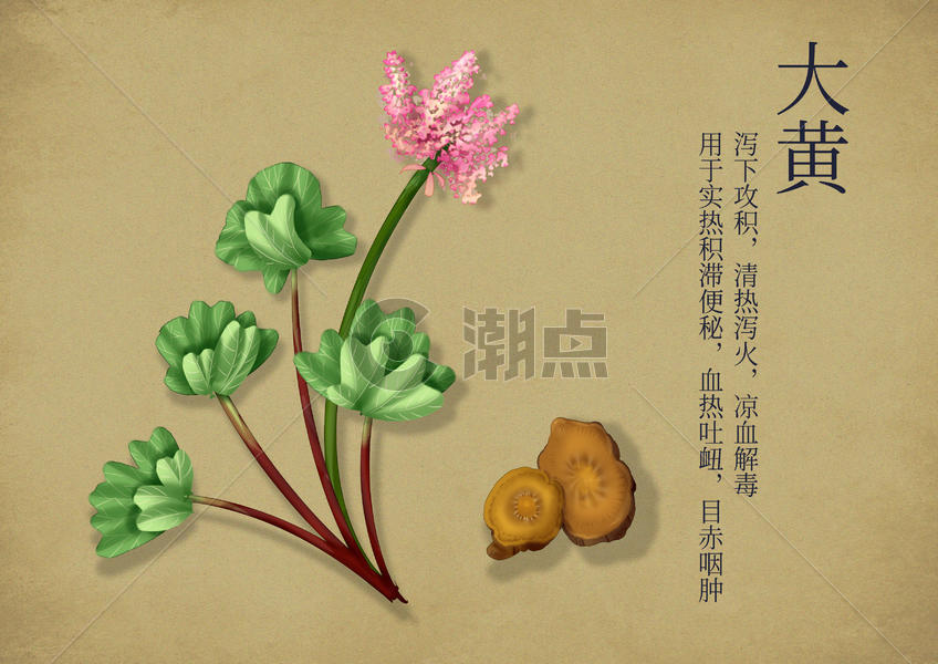 手绘中国风中药养生图片素材免费下载