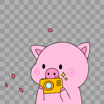 照相的猪图片素材免费下载