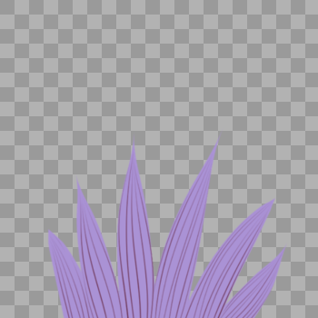 紫色的植物图片素材免费下载