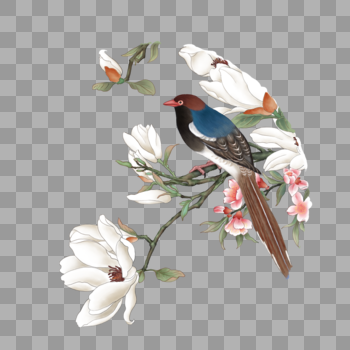 站在花上的鸟图片素材免费下载