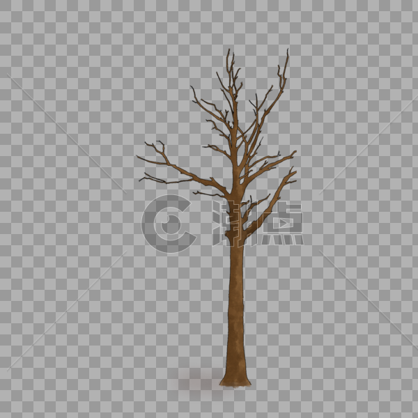 冬季的树图片素材免费下载
