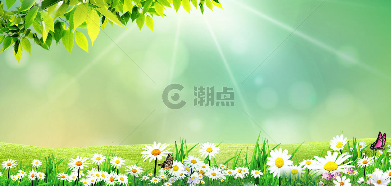 春天的花丛图片素材免费下载