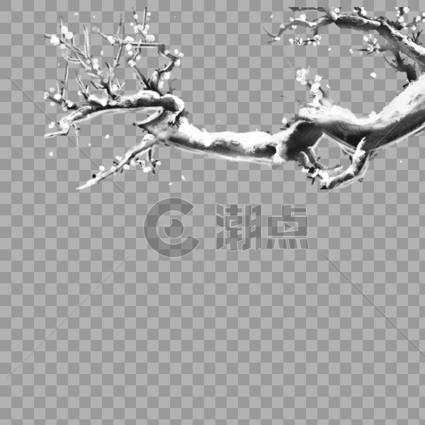 冬季的树枝图片素材免费下载