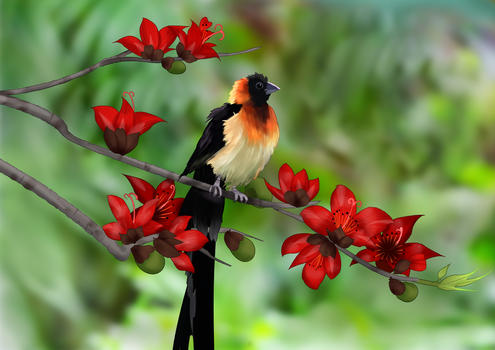 可爱动物春天手绘鸟图片素材免费下载