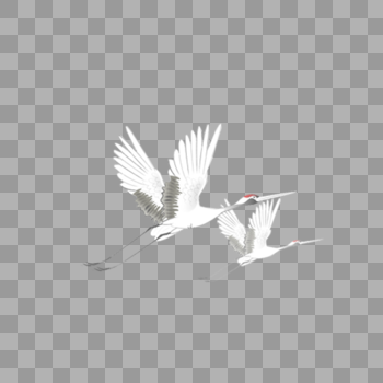 飞翔的鹤图片素材免费下载