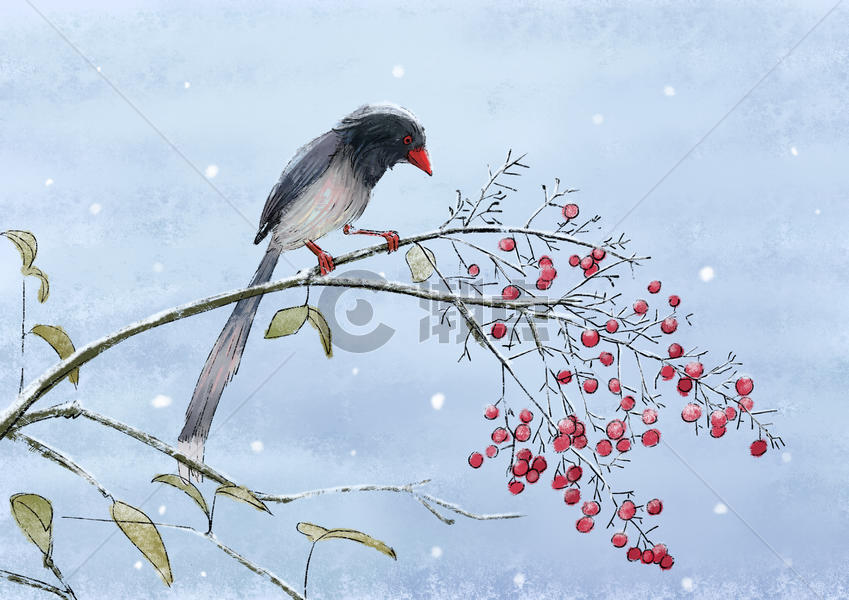 冬天水墨的鸟图片素材免费下载