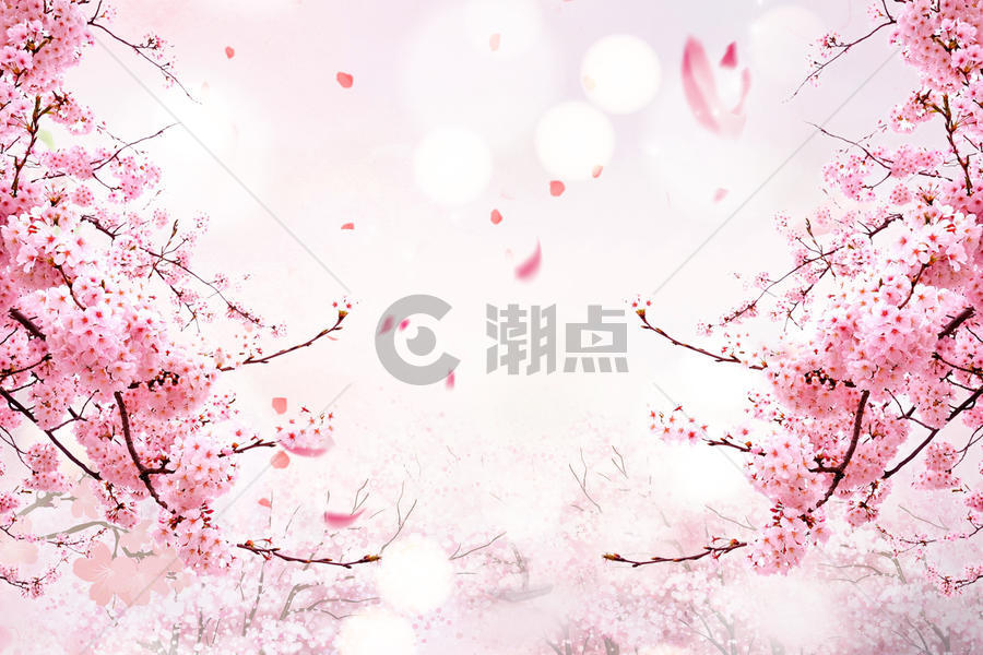 樱花唯美背景图片素材免费下载