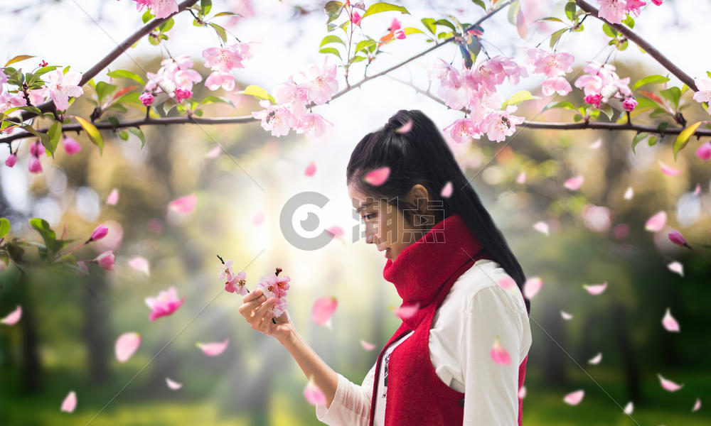 桃花树下的少女图片素材免费下载