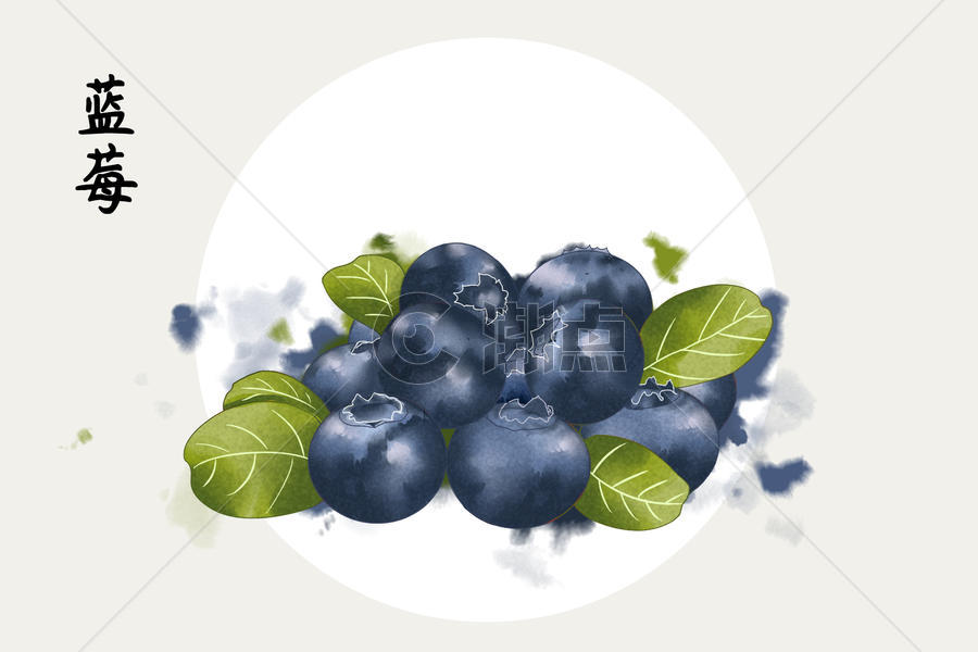 水果蓝莓插画图片素材免费下载