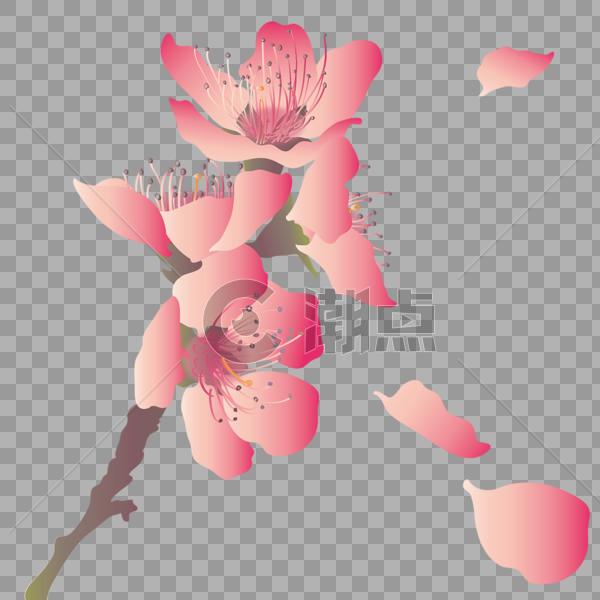 一束樱花浪漫飞舞粉红樱花花瓣图片素材免费下载