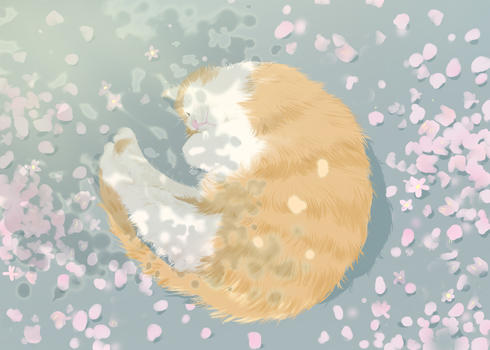 樱花树下的猫图片素材免费下载