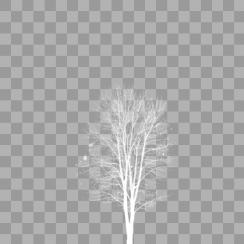 白色的树图片素材免费下载