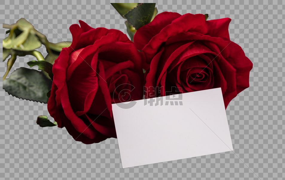 情人节玫瑰图片素材免费下载