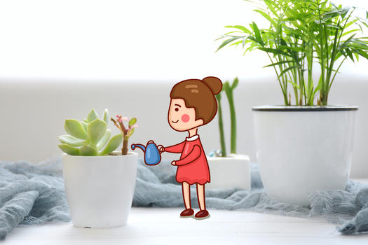 给盆栽浇水的女孩图片素材免费下载