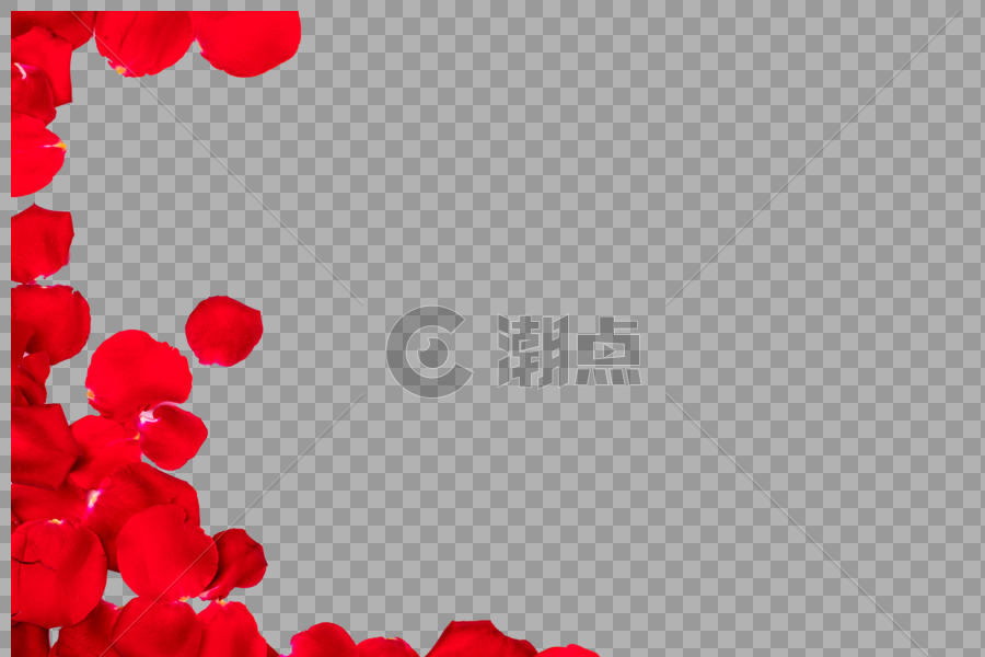 玫瑰花瓣图片素材免费下载
