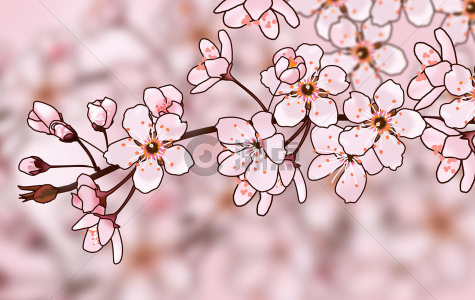 粉色温柔樱花图片素材免费下载