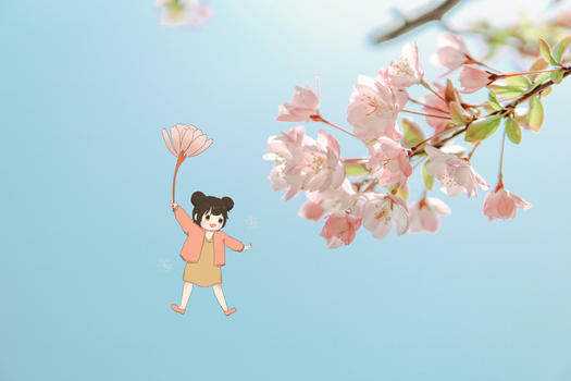 樱花飘图片素材免费下载