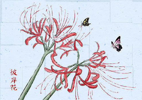 彼岸花和蝴蝶图片素材免费下载