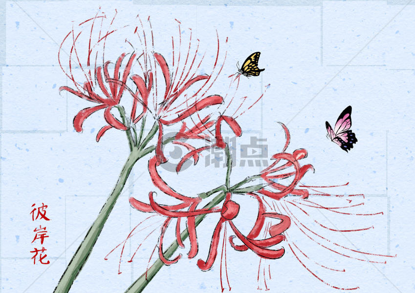 彼岸花和蝴蝶图片素材免费下载