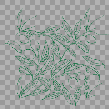 手绘橄榄植物图片素材免费下载