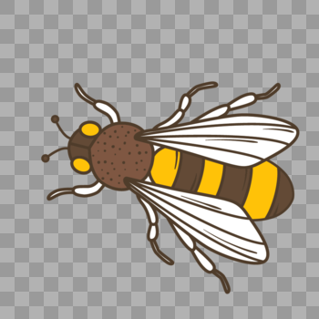 蜜蜂元素图片素材免费下载