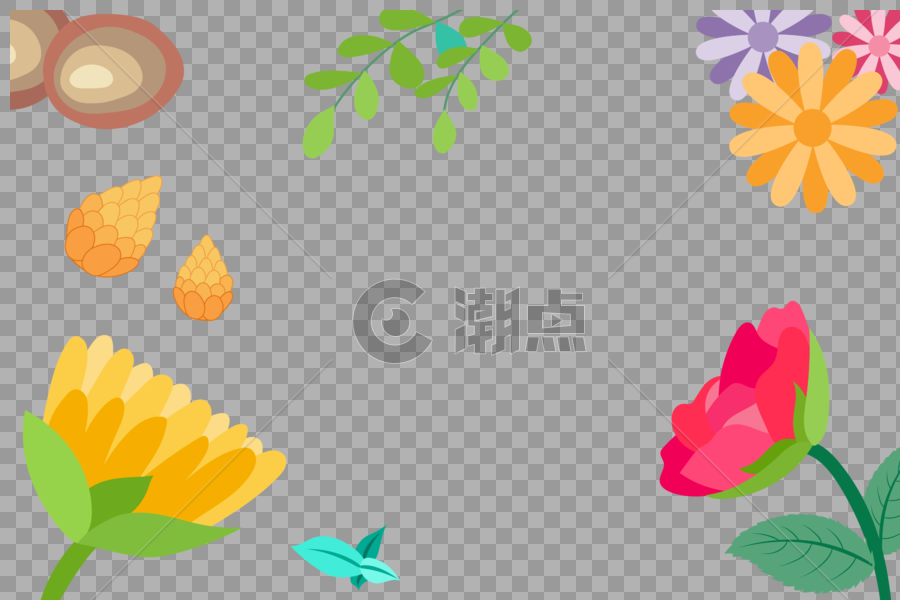 雏菊玫瑰松果植物背景图片素材免费下载