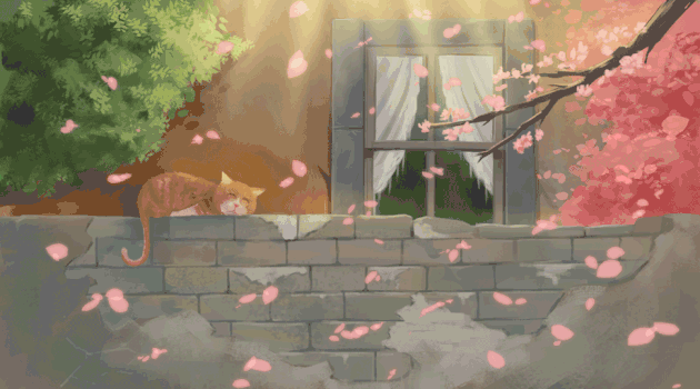 樱花树下晒太阳的猫gif图片素材免费下载