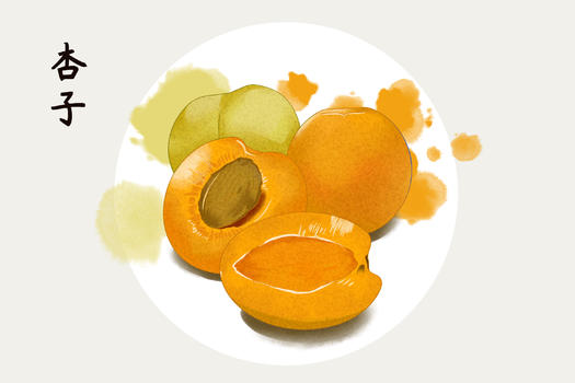水果杏子插画图片素材免费下载