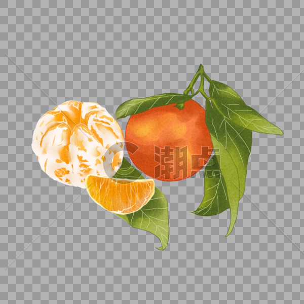手绘橘子图片素材免费下载