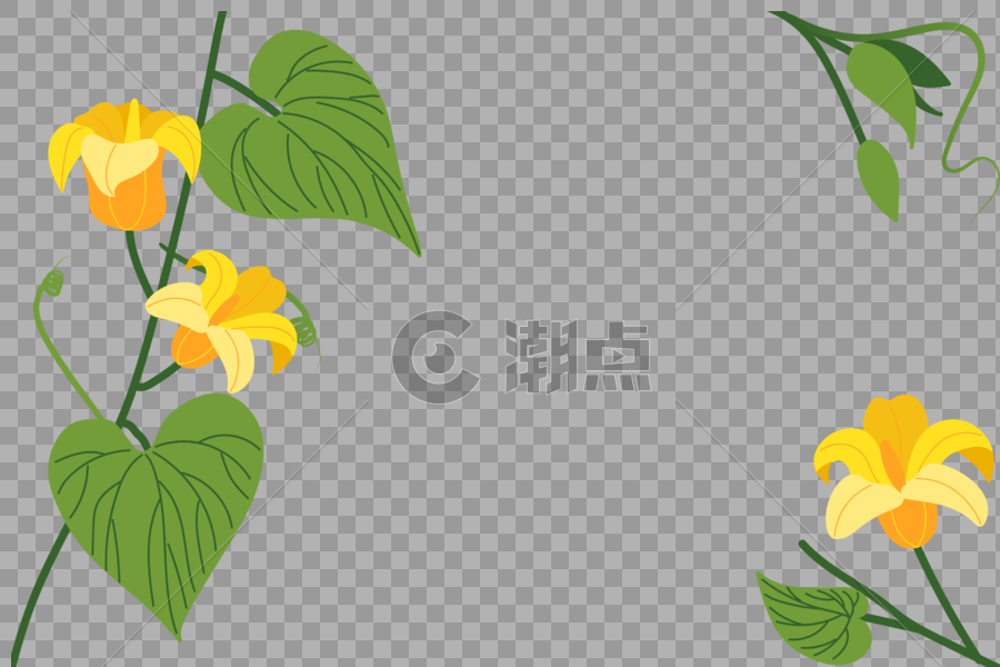 南瓜藤蔓植物背景边框图片素材免费下载